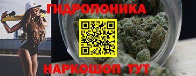 не бодяженный Кингисепп