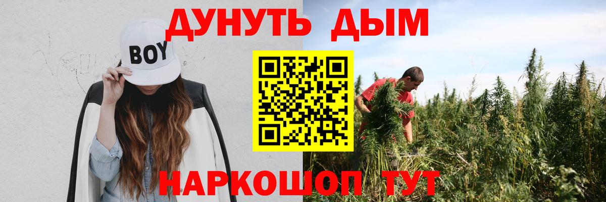 Электрогорск  Шишки марихуана план  Каннабис AK-47  Вход с VPN 